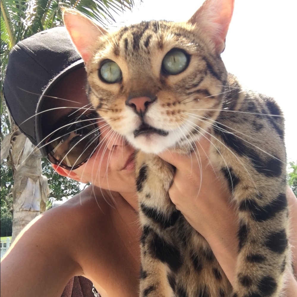 Meet your Posher, Krista